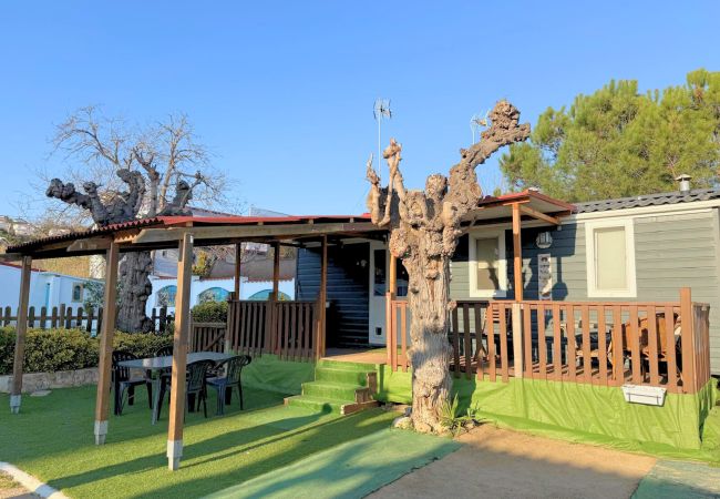 Bungalow/Linked villa in Canet de Mar - Costa Dorada: Victoria