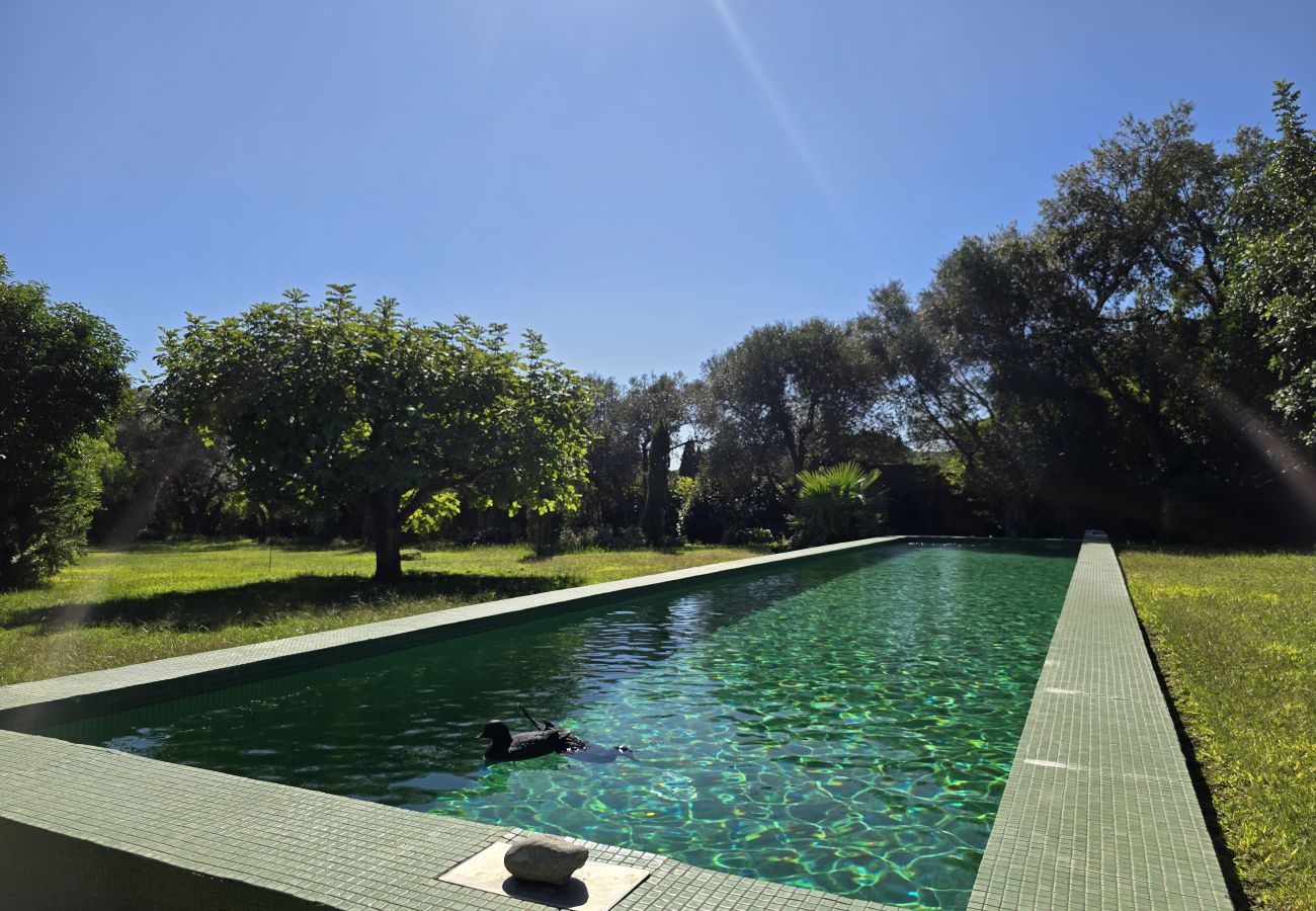 Gîte Rural à Ventalló - Gran Casa Rustica con Alma Mediterranea